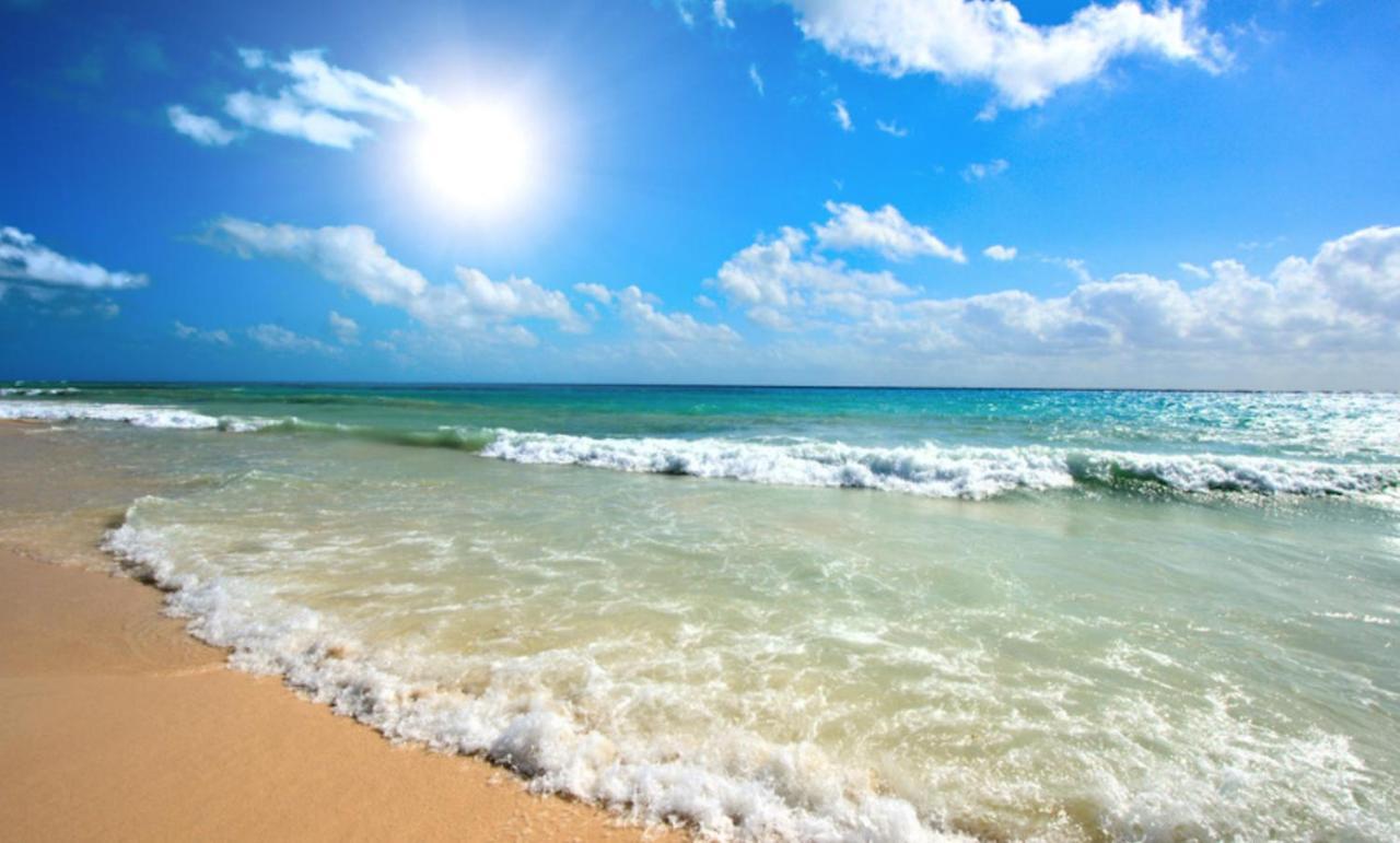Anita A3 Cosy Studio Sunny Beach Ngoại thất bức ảnh